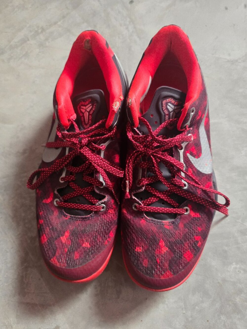 Kobe 8 year of the snake